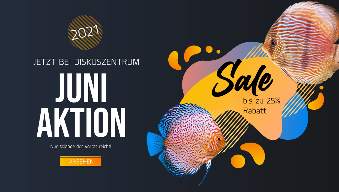 Diskuszentrum_2